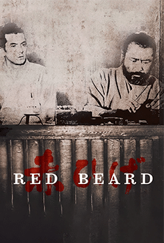 Red Beard